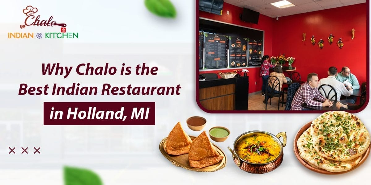 best Indian restaurant in Holland, MI